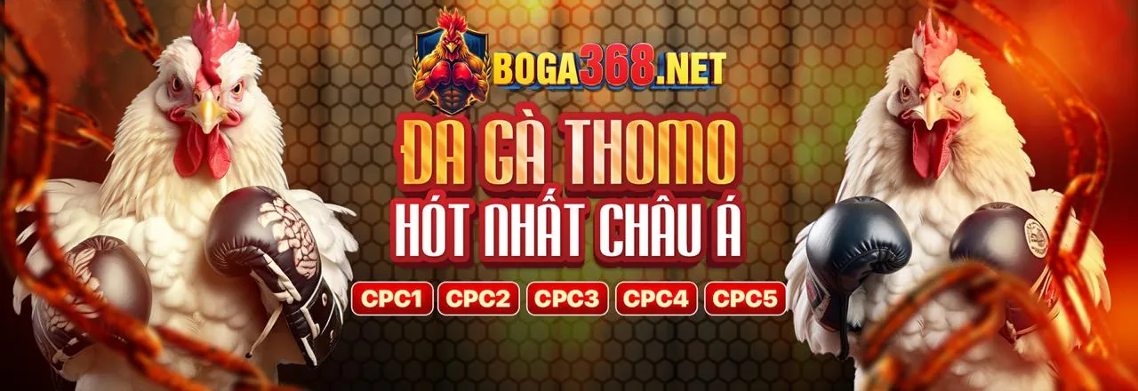 Tin tức và cập nhật mới nhất từ mb 66